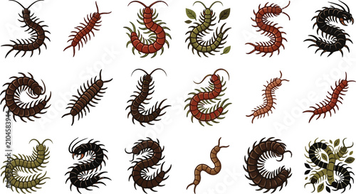 Foto Flat Vector Scolopendra and Creepy Crawly Multi-Legged Bug Collection