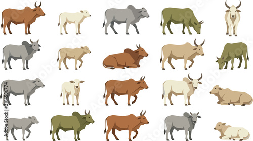 Foto Flat Vector Farm Animals Collection with Various Breeds of Bulls and Cows