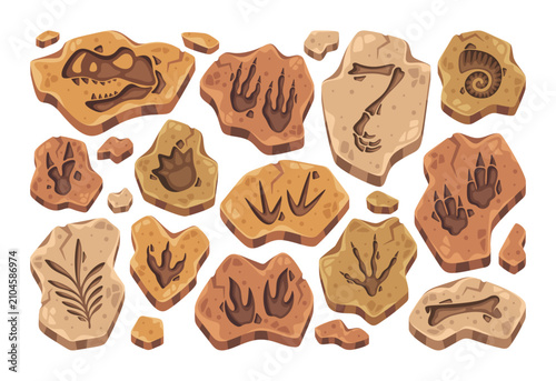 Dinosaur Fossil Footprints Collection Cartoon