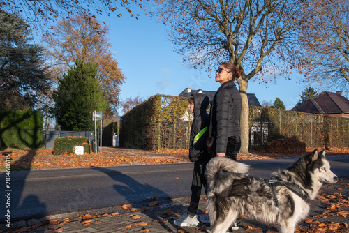 Family enjoying an outdoor stroll with their pet husky, walking together on a suburban sidewalk covered with fallen autumn leaves under a clear blue sky