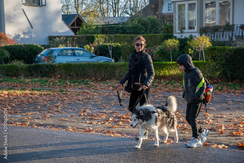 Mother and son enjoying family time walking their malamute dog on a sunny autumn day, traversing a residential street covered with fallen leaves