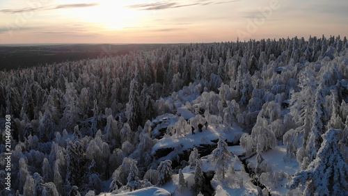 Photography High Above Frozen Forest With Sparkling Branches And Tranquil Cold Light During Winter Twilight