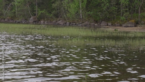 Peaceful Water Surface By Grassy Shoreline. Calm Lake With Soft Reflections Near Distant Trees And Reeds. Creative