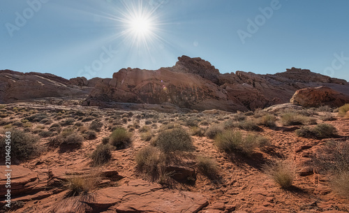 Obraz na płótnie Sandstone rock formations glow under bright sunlight at Valley of Fire State Park, Nevada