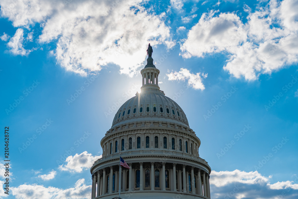 Obraz premium Washington State Capitol. United states Capitol. The Capitol building in Washington. Architecture view on dome with column. Famous Capitol in Washington DC. Senate and House in Washington DC