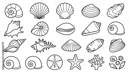Set of hand-drawn sea shell icons and marine life elements with seashell nautilus starfish collection