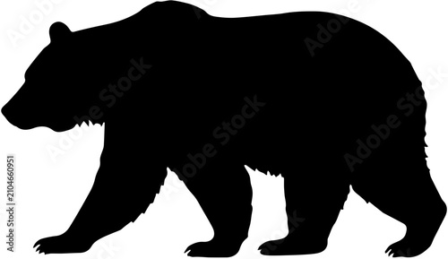 Photos silhouette of a bear