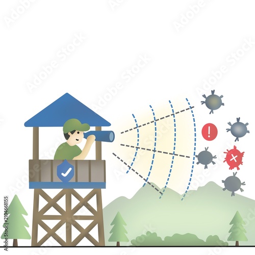 Cyber Threat Detection and Network Monitoring Watchtower