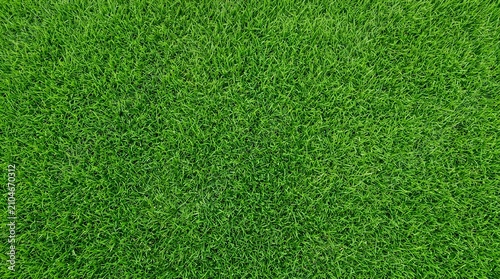 green grass texture