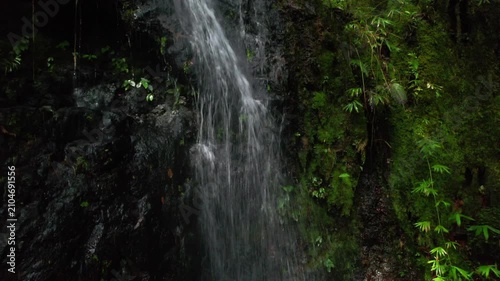 waterfall in the forest