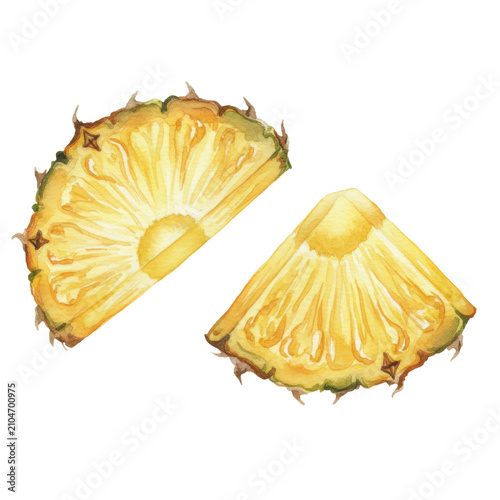 Watercolor painting of vibrant pineapple slices with golden textures and serrated rinds on a minimalist white background. Tropical summer refreshment concept