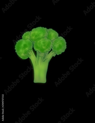 Fresh Broccoli Illustration Hand Drawing with Black Bagrtound 