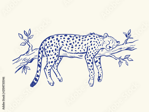 Photography Sleeping leopard on tree branch blue outline doodle vector illustration of wild