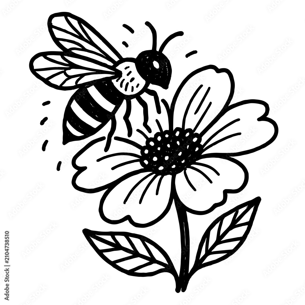 Obraz premium Bee hovering above a blooming daisy flower is captured in a simple black and white hand-drawn sketch.