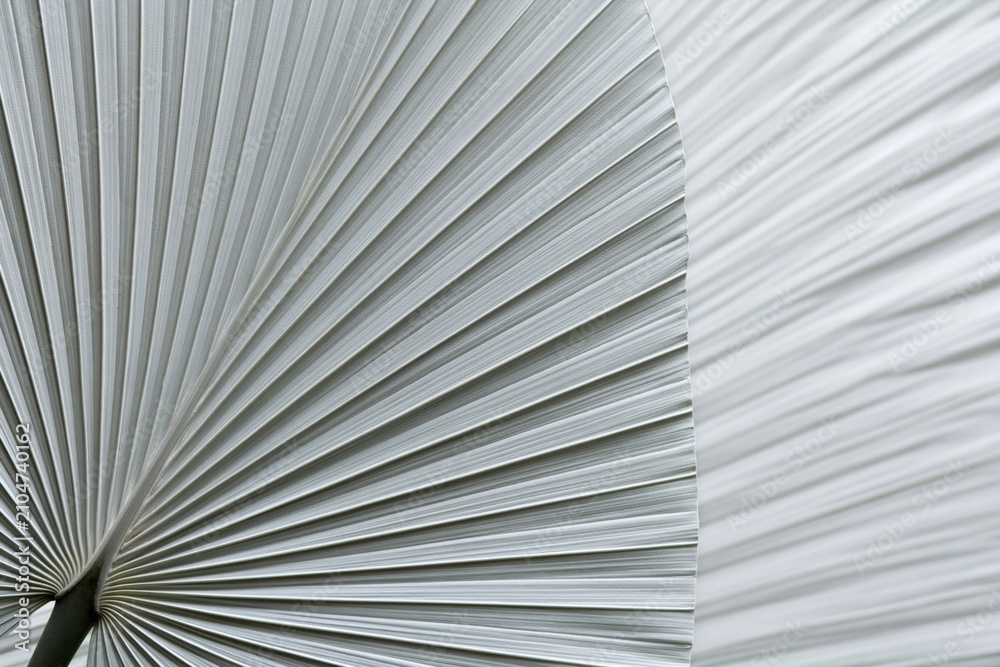 Fototapeta premium Palm leaf with abstract dried fan texture and radiating geometric nature lines