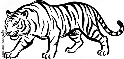 Foto Black and white line art illustration of a walking tiger.
