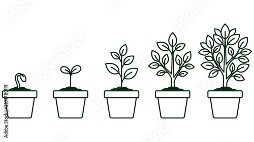 Φωτογραφία Plant growth cycle showing development from seed to flourishing tree