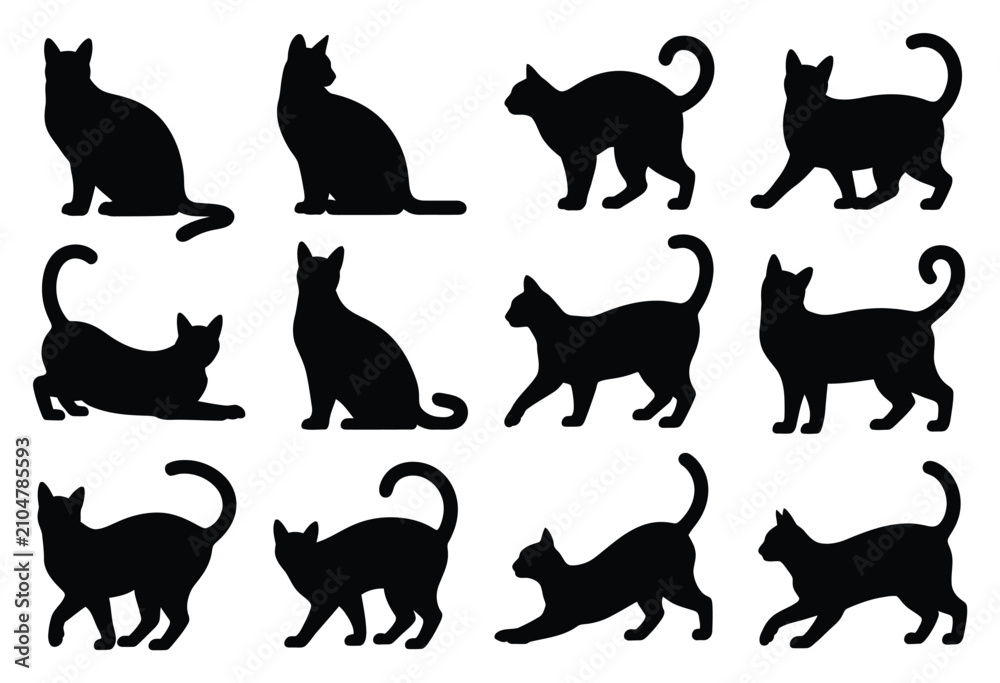 Obraz premium Colección de doce siluetas de gatos negros en diversas poses
