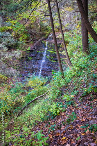 Konstfotografi Waterfall at Leonard Harrison State Park