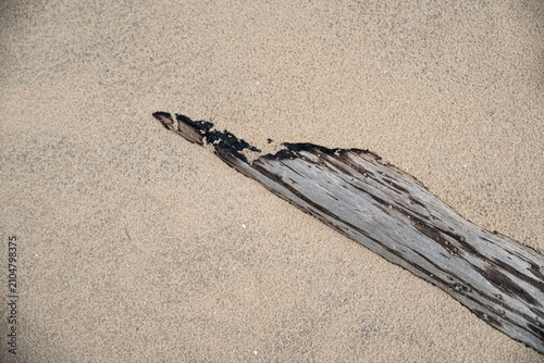 Driftwood on beach sand with natural minimal texture background