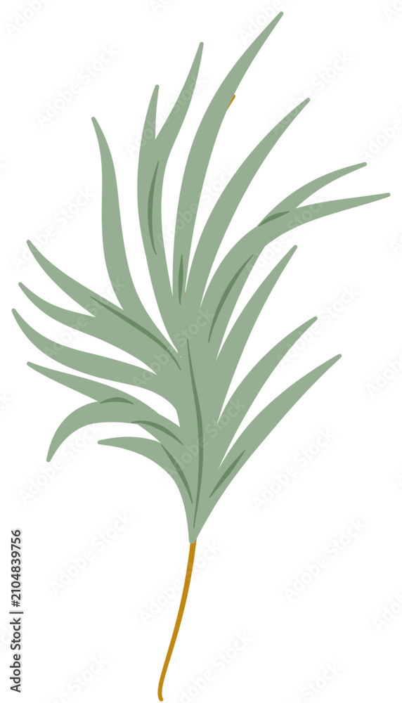 Fototapeta premium Minimalist Green Botanical Leaf Illustration Design Element
