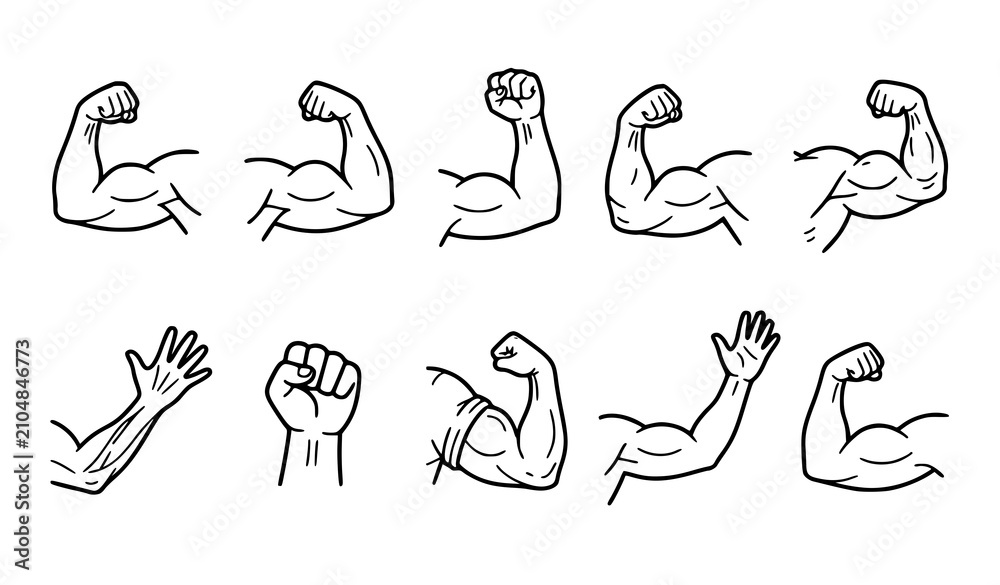 Obraz premium Muscular Arm Flexing Bicep Icon Set Strength Fitness Line Art Vector Illustration On White Background