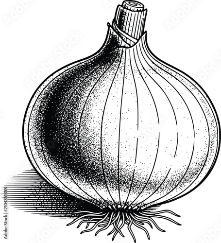 A detailed black and white line of a fresh whole onion