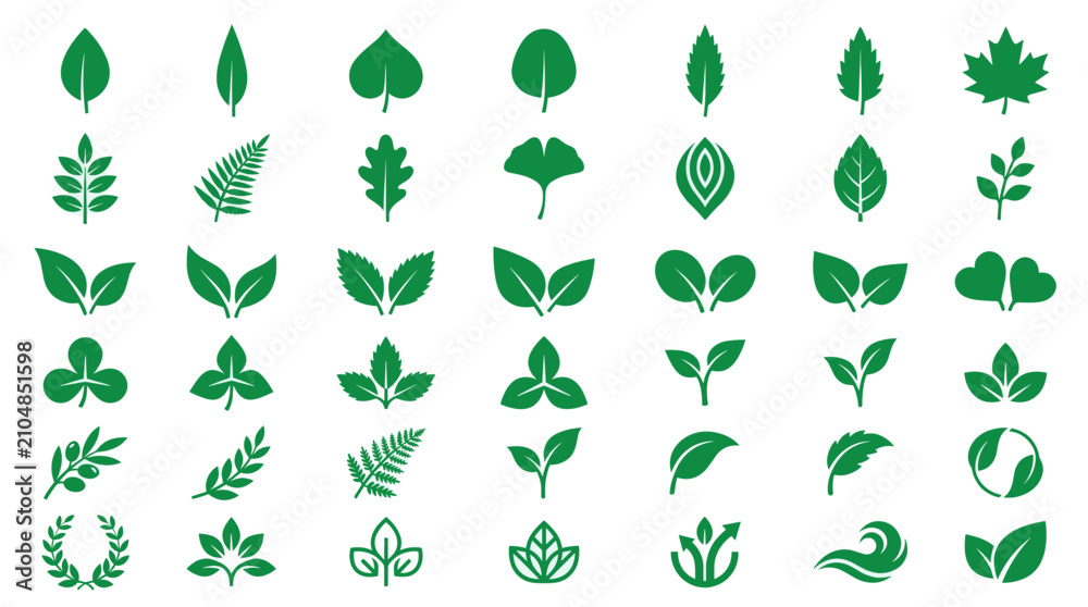 Fototapeta premium Green leaf and botanical plant icons.