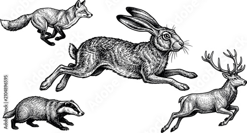 Foto Retro woodcut style running wild animal graphics collection including jumping ra