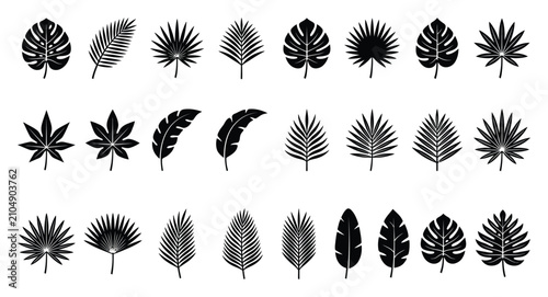 熱帯のヤシの葉シルエットと植物デザインのコレクション