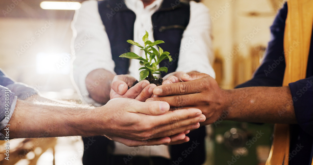 Fototapeta premium Hands, people and team with plant for conservation, sustainability and support for climate change. Sprout, group and soil for green growth, environment protection and eco care for earth day in office