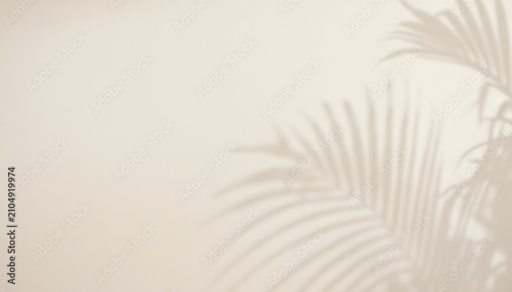 Fototapeta premium A serene and peaceful background with a palm tree shadow on a beige wall