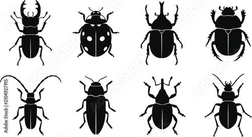 Bild auf Leinwand Collection of various beetle insect silhouettes isolated on a white background f