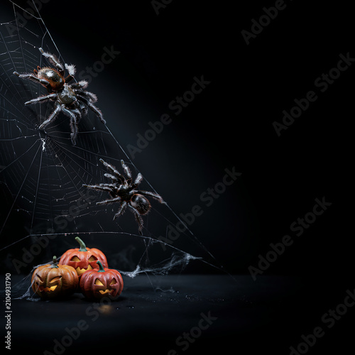 Two hairy spiders crawling on a web with glowing pumpkin lanterns transparent background