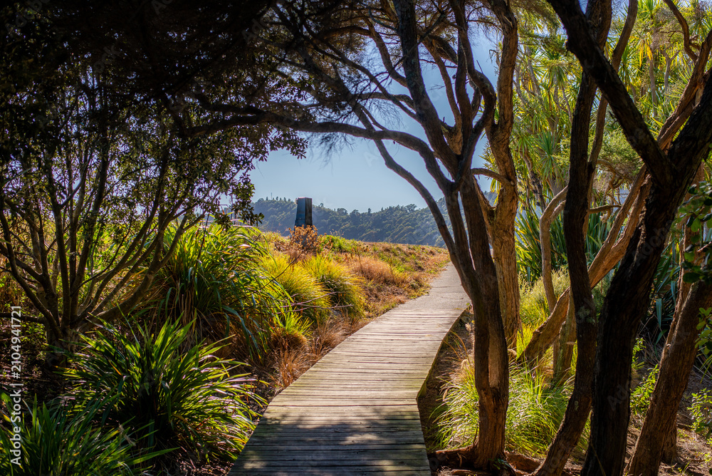 Fototapeta premium New Zealand hiking