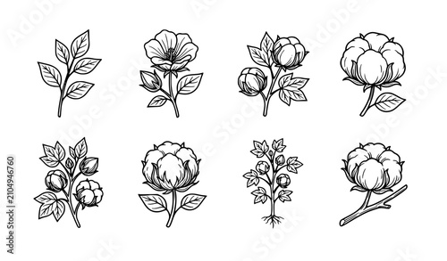 Cuadro en lienzo Botanical Cotton Boll Vector Icon Set