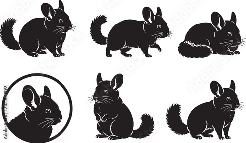 Chinchilla Silhouette Icon Set Black Vector Collection Isolated on White Background