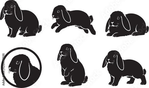 Holland Lop Rabbit Silhouette Icon Set Collection Black Bunny Vector Isolated on White Background