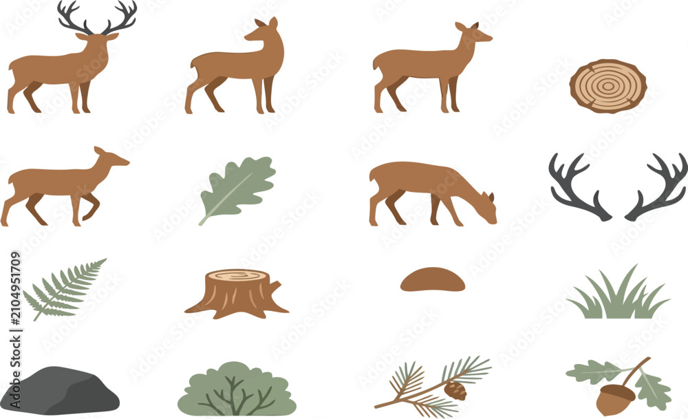 Fototapeta premium Set of flat vector illustrations depicting various deer species and forest elements like oak leaves, acorns, and shrubs, in a minimalist style.