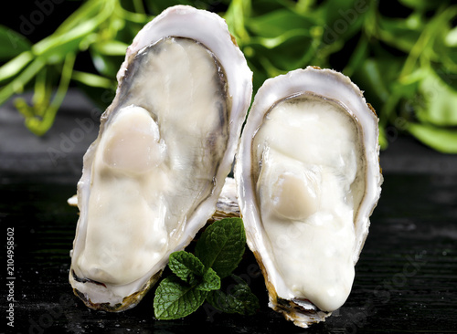 фотографія Fresh Oysters with Herbs Studio Food Photography - Delicious Seafood Healthy Gou