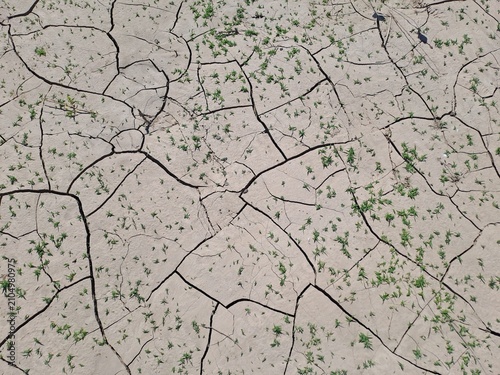 Konstfotografi Dry cracked earth soil texture surface close up, concept of drought and global w