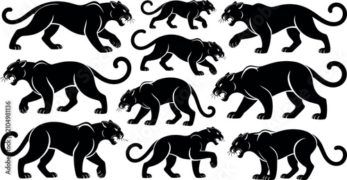 Photography Set of black panther silhouettes crawling jumping and roaring in various aggressive poses vector illustration isolated on white background