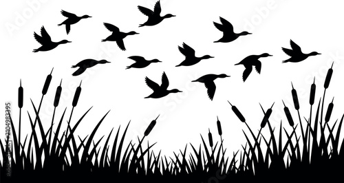 Foto Flying ducks flock silhouette landscape vector illustration featuring cattails r