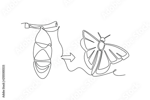Bilde på lerret A moth develops from a pupa into an adult insect