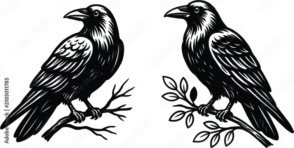 Fototapeta premium Raven bird engraving illustrations, vintage black crow perched on branches isolated editable vector collection for wildlife design