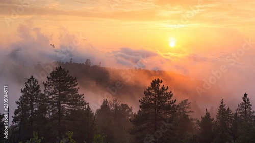 Breathtaking sunrise over misty mountains with pine trees in the foreground creating a serene and majestic landscape scene