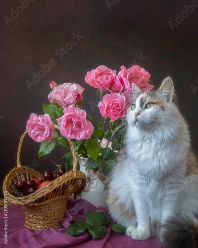 Adorable cat and  bouquet of pink roses 