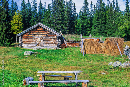 Old wooden barn with hanging hay for drying in the countryside