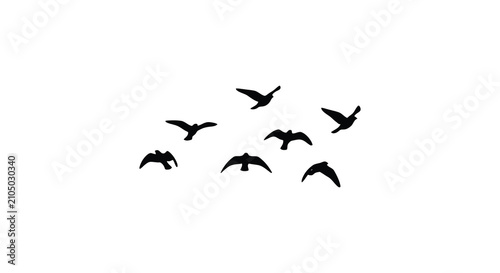 A flock of birds in flight simple black silhouette avian flying
