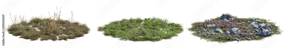 Obraz premium Variations of grass patches featuring dry weeds, small flowers, and rocky soil isolated on a transparent background. Perfect for architectural 3d rendering and digital landscape design